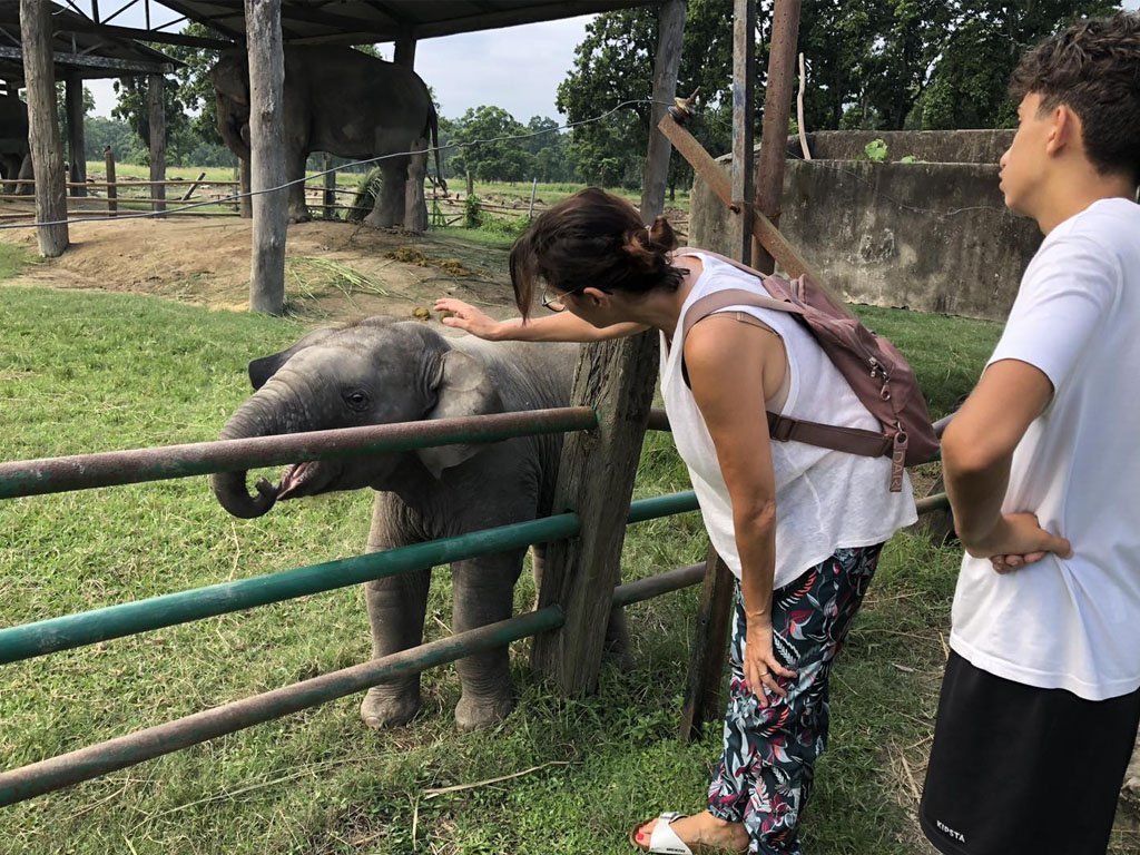 Elephant Breeding Center